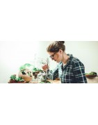Terrariums